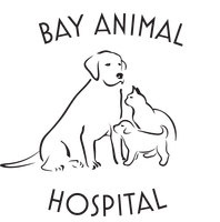 <span>Bay Animal Hospital</span>
logo