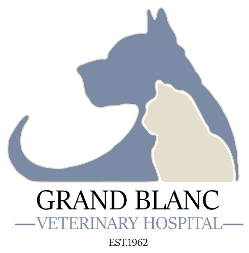 <span>Grand Blanc Veterinary Hosp</span>
logo