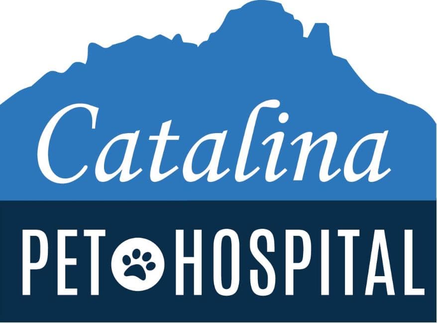 <span>Catalina Pet Hospital</span>
 logo