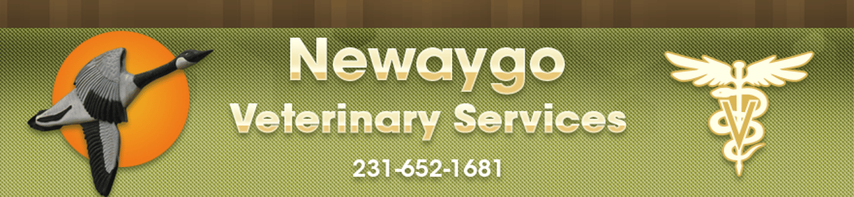 <span>Newaygo Veterinary Services</span>
logo