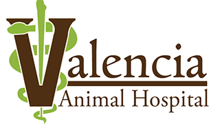 <span>Valencia Animal Hospital</span>
 logo