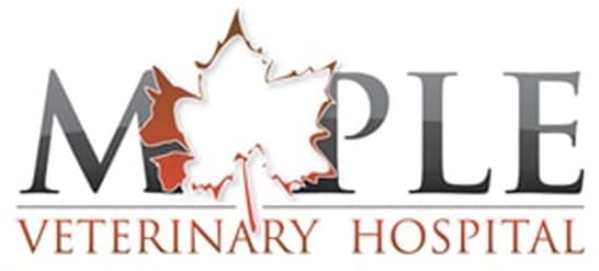 <span>Maple Veterinary Hospital</span>
logo