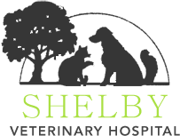 <span>Shelby Veterinary Hospital</span>
logo