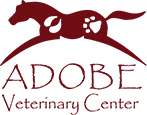 <span>Adobe Veterinary Center</span>
logo