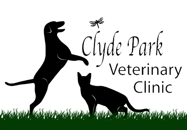 <span>Clyde Park Veterinary Clinic</span>
logo