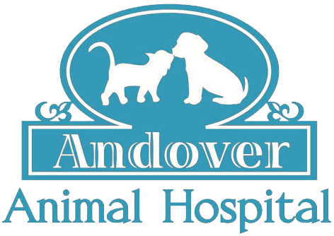 <span>Andover Animal Hospital PA</span>
logo