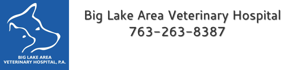 <span>Big Lake Area Veterinary Hospital</span>
logo
