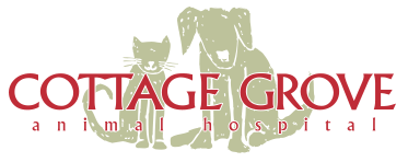 <span>Cottage Grove Animal Hospital</span>
logo
