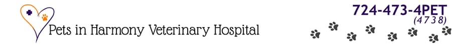 <span>Harmony Veterinary Clinic PA</span>
logo