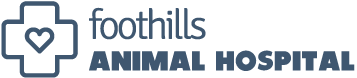 <span>Foothills Animal Hospital</span>
logo