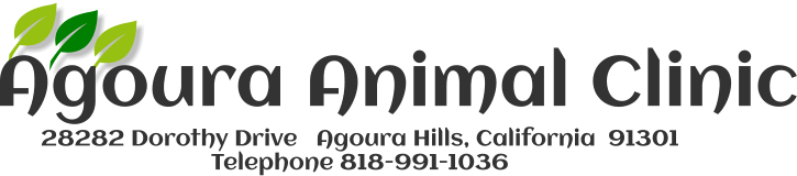 <span>Agoura Animal Clinic</span>
logo