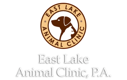 <span>East Lake Animal Clinic</span>
logo