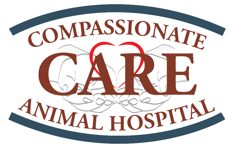 <span>Compassionate Care Animal Hospital</span>
logo