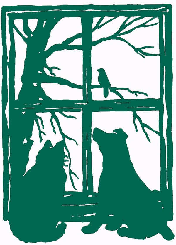 <span>Park Centre Animal Hospital</span>
logo