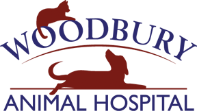 <span>Woodbury Animal Hospital</span>
logo