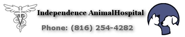 <span>Independence Animal Hospital</span>
logo