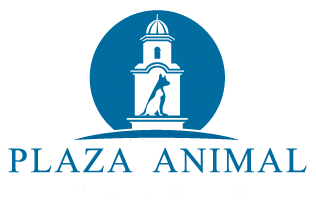 <span>Plaza Animal Clinic Inc</span>
logo
