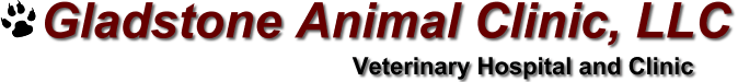 <span>Gladstone Animal Clinic LLC</span>
logo