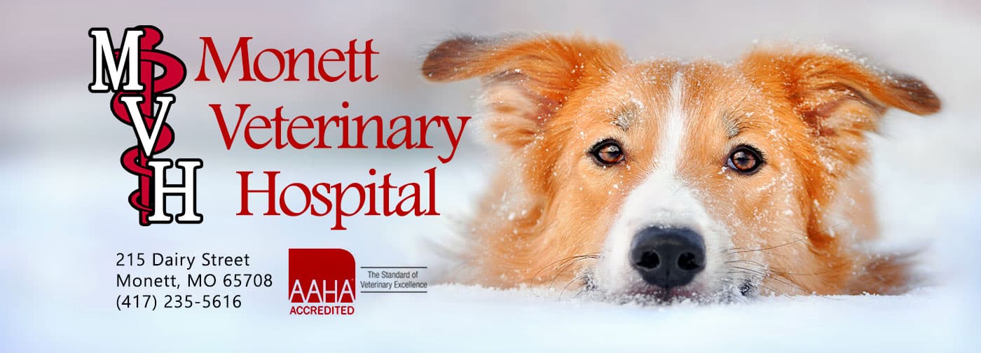 <span>Monett Veterinary Hospital</span>
logo