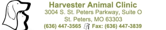 <span>Harvester Animal Clinic Inc</span>
logo