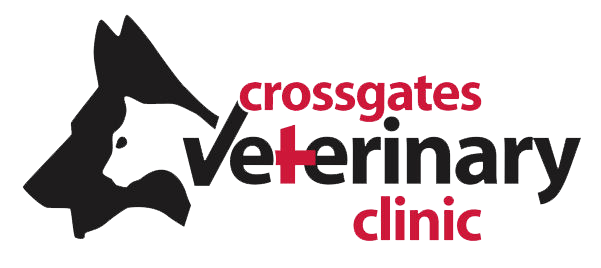 <span>Crossgates Veterinary Clinic</span>
logo