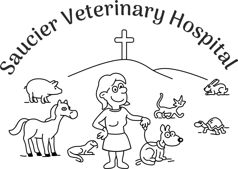 <span>Saucier Veterinary Hospital</span>
logo