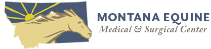 <span>Montana Equine Medical & Surgical Center</span>
logo