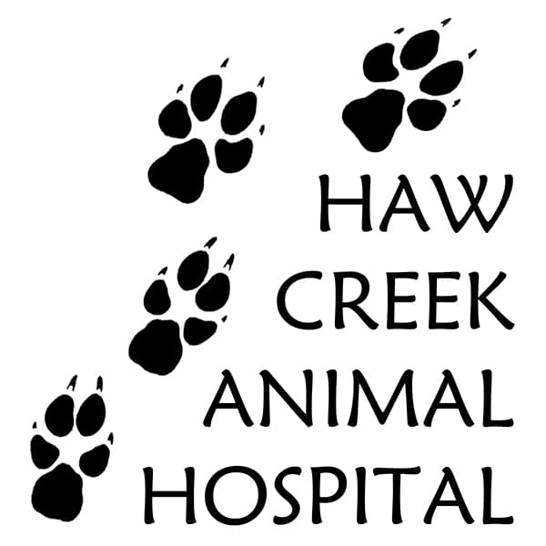 <span>Haw Creek Animal Hospital</span>
logo