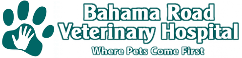 <span>Bahama Road Veterinary Hospital</span>
logo