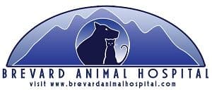 <span>Brevard Animal Hospital</span>
logo