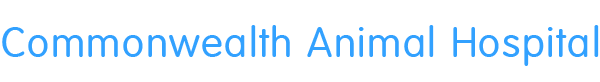 <span>Commonwealth Animal Hospital</span>
logo