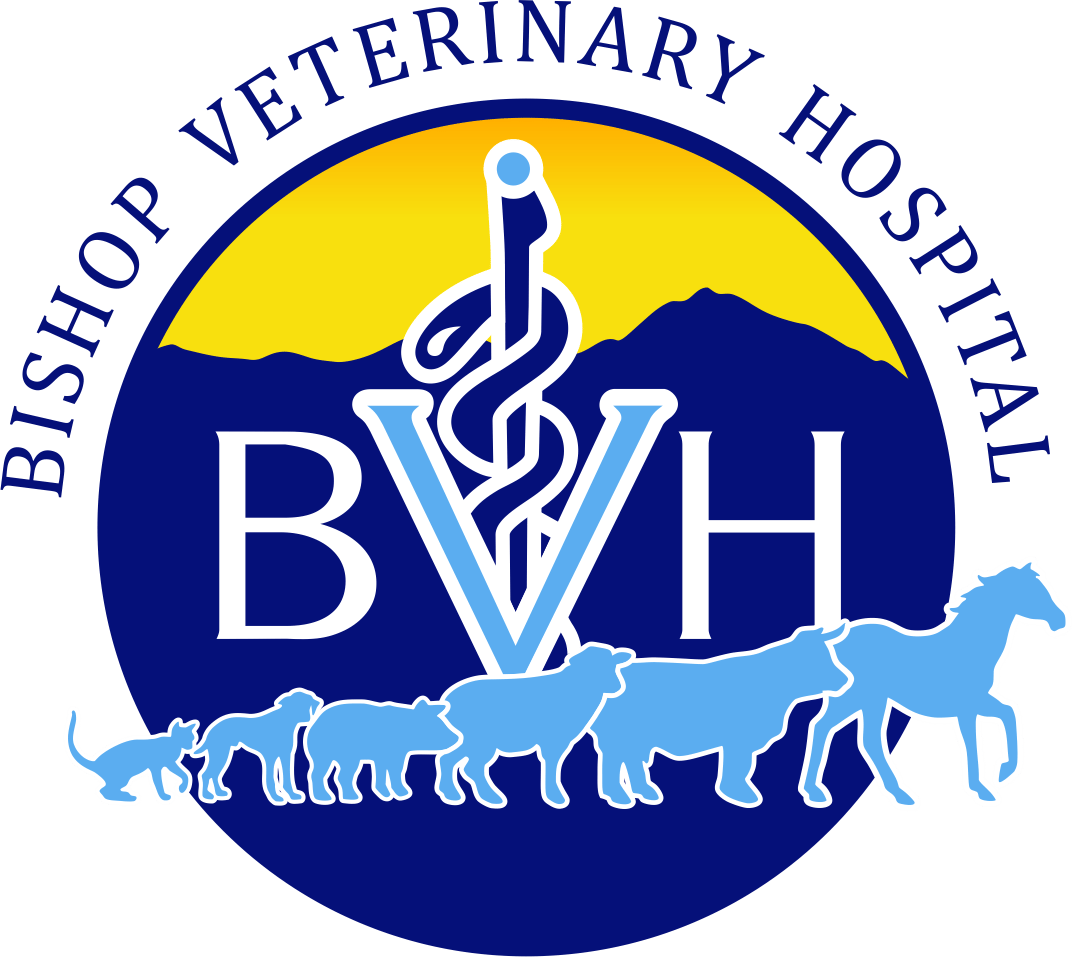 <span>Bishop Veternary Hospital</span>
logo
