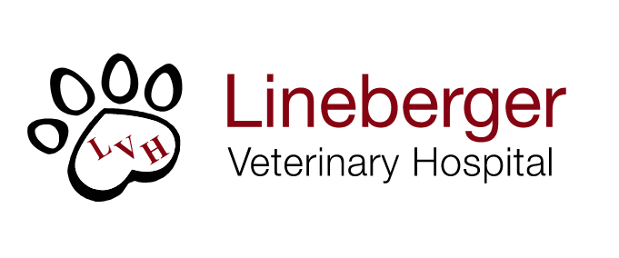<span>Lineberger Veterinary Hospital</span>
logo