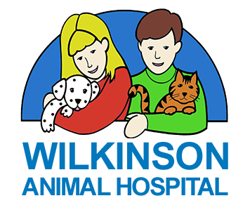 <span>Wilkinson Animal Hospital</span>
logo