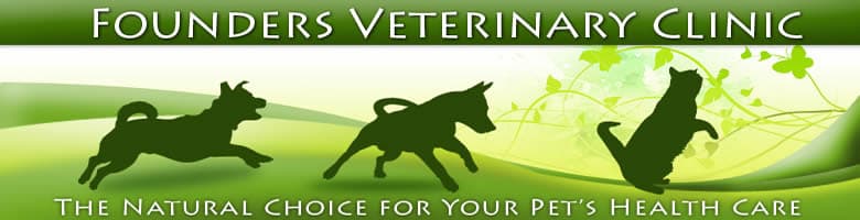 <span>Sounders Veterinary Clinic</span>
logo