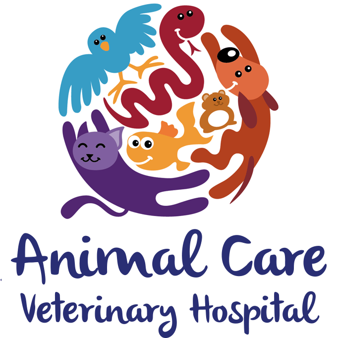 <span>Animal Care Veterinary Hospital</span>
logo