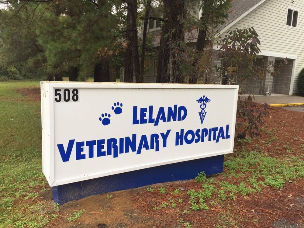 <span>Leland Veterinary Hospital</span>
logo