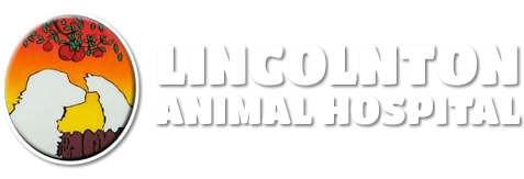 <span>Lincolnton Animal Hospital PA</span>
logo