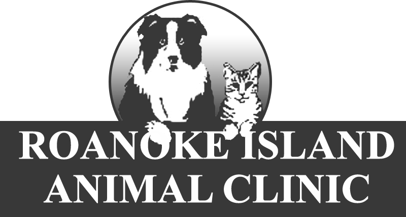 <span>Roanoke Island Animal Clinic</span>
logo