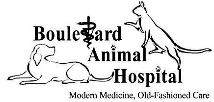 <span>Boulevard Animal Hospital</span>
logo