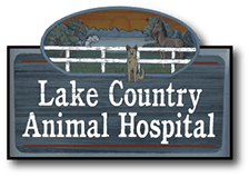 <span>Lake Country Animal Hospital</span>
logo