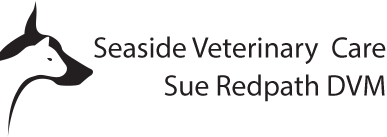 

<!-- THEME DEBUG -->
<!-- THEME HOOK: 'field' -->
<!-- FILE NAME SUGGESTIONS:
   * field--node--title--listing.html.twig
   x field--node--title.html.twig
   * field--node--listing.html.twig
   * field--title.html.twig
   * field--string.html.twig
   * field.html.twig
-->
<!-- BEGIN OUTPUT from 'core/themes/stable/templates/field/field--node--title.html.twig' -->
<span>Seaside Veterinary Care Small</span>

<!-- END OUTPUT from 'core/themes/stable/templates/field/field--node--title.html.twig' -->

 logo