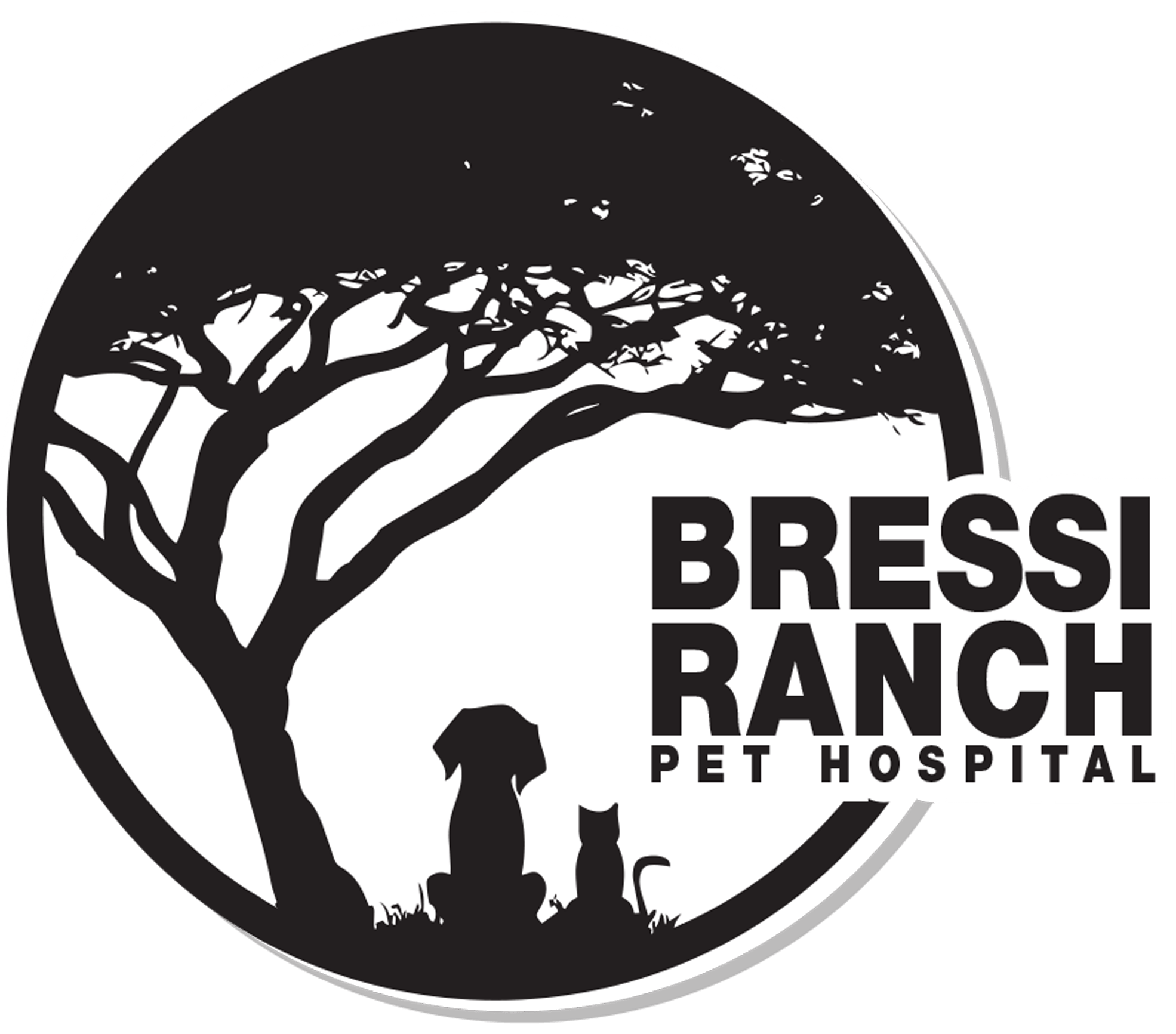 <span>Bressi Pet Hospital</span>
logo