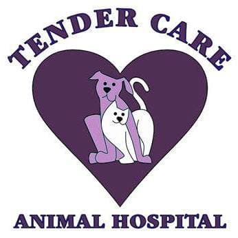 <span>Tender Care Animal Hospital</span>
logo