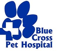 <span>Blue Cross Pet Hospital</span>
logo