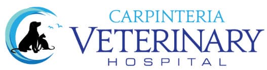 <span>Carpinteria Veterinary Hospital</span>
logo