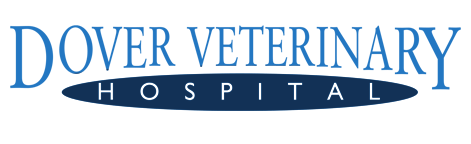 <span>Dover Veterinary Hospital</span>
logo