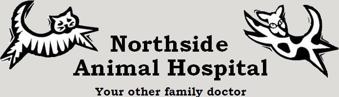 <span>Northside Animal Hospital PLLC</span>
logo