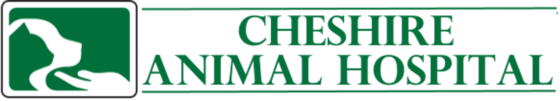 <span>Cheshire Animal Hospital</span>
logo