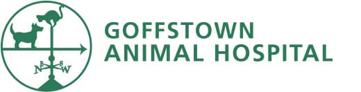 <span>Goffstown Animal Hospital</span>
logo
